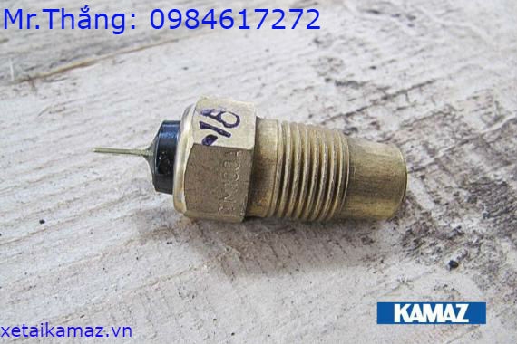 CẢM BIẾN NHIỆT ĐỘ NƯỚC
